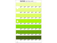 PANTONE PMS SOLID CHIPS ERSATZSEITE 196C