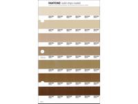 PANTONE PMS SOLID CHIPS ERSATZSEITE 221C