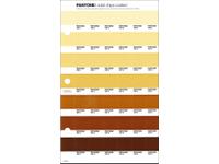 PANTONE PMS SOLID CHIPS ERSATZSEITE 224C