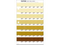 PANTONE PMS SOLID CHIPS ERSATZSEITE 220C