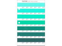 PANTONE PMS SOLID CHIPS ERSATZSEITE 181U