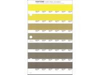 PANTONE PMS SOLID CHIPS ERSATZSEITE 218U