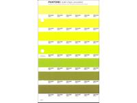 PANTONE PMS SOLID CHIPS ERSATZSEITE 209U