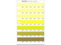 PANTONE PMS SOLID CHIPS ERSATZSEITE 210U