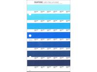 PANTONE PMS SOLID CHIPS ERSATZSEITE 136U