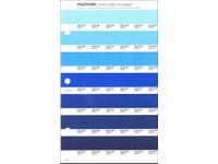 PANTONE PMS SOLID CHIPS ERSATZSEITE 133U