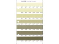 PANTONE PMS SOLID CHIPS ERSATZSEITE 204U