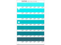 PANTONE PMS SOLID CHIPS ERSATZSEITE 167U