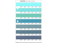 PANTONE PMS SOLID CHIPS ERSATZSEITE 159U