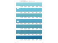 PANTONE PMS SOLID CHIPS ERSATZSEITE 162U