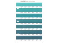 PANTONE PMS SOLID CHIPS ERSATZSEITE 163U