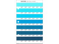 PANTONE PMS SOLID CHIPS ERSATZSEITE 153U