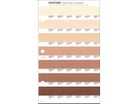 PANTONE PMS SOLID CHIPS ERSATZSEITE 231U