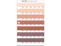 PANTONE PMS SOLID CHIPS ERSATZSEITE 232U