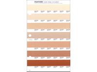 PANTONE PMS SOLID CHIPS ERSATZSEITE 230U