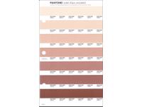 PANTONE PMS SOLID CHIPS ERSATZSEITE 233U