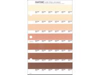 PANTONE PMS SOLID CHIPS ERSATZSEITE 234U