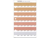 PANTONE PMS SOLID CHIPS ERSATZSEITE 1.6U