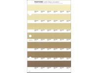 PANTONE PMS SOLID CHIPS ERSATZSEITE 222U