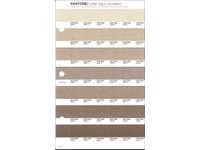PANTONE PMS SOLID CHIPS ERSATZSEITE 221U