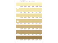 PANTONE PMS SOLID CHIPS ERSATZSEITE 220U
