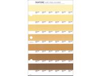 PANTONE PMS SOLID CHIPS ERSATZSEITE 224U