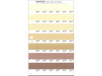 PANTONE PMS SOLID CHIPS ERSATZSEITE 223U
