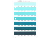 PANTONE PMS SOLID CHIPS ERSATZSEITE 169U