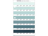 PANTONE PMS SOLID CHIPS ERSATZSEITE 173U