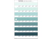 PANTONE PMS SOLID CHIPS ERSATZSEITE 176U