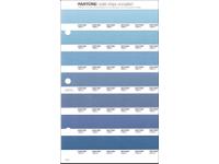 PANTONE PMS SOLID CHIPS ERSATZSEITE 142U