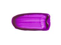 VAN BEEK ACRYL 60ML 029 S2 FLUORISIEREND VIOLET