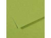 MI-TEINTES 50X65CM 160GR. 475 GRâ”ŒN