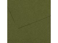 MI-TEINTES 50X65CM 160GR. 448 DUNKELGRâ”ŒN