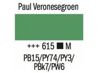 AMSTERDAM 400ML 615 PAUL VERONESE GRUN