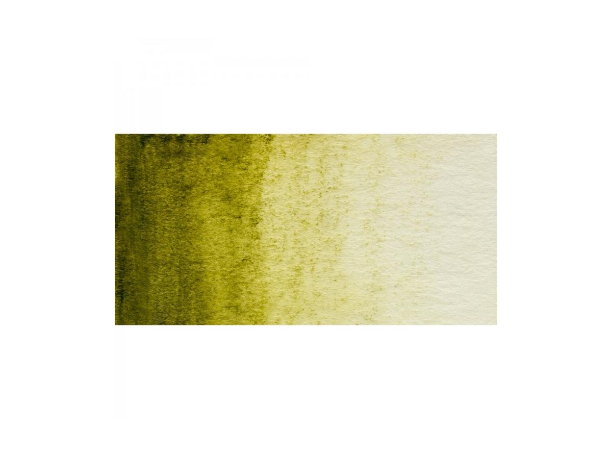 GRAPHITINT IVY 11 2