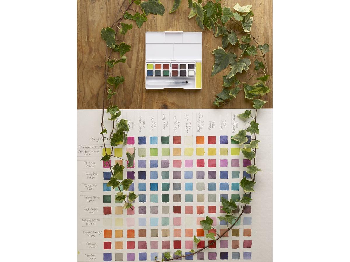 DERWENT INKTENSE PAINT SET 2 12x1/2NAPF 4