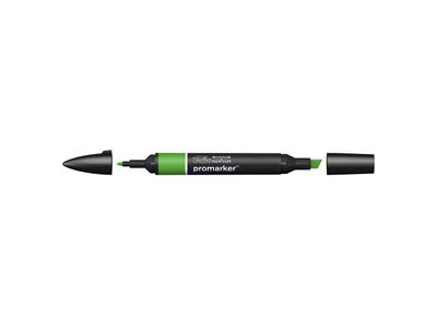 WINSOR & NEWTON PROMARKER FOREST GREEN G356 2