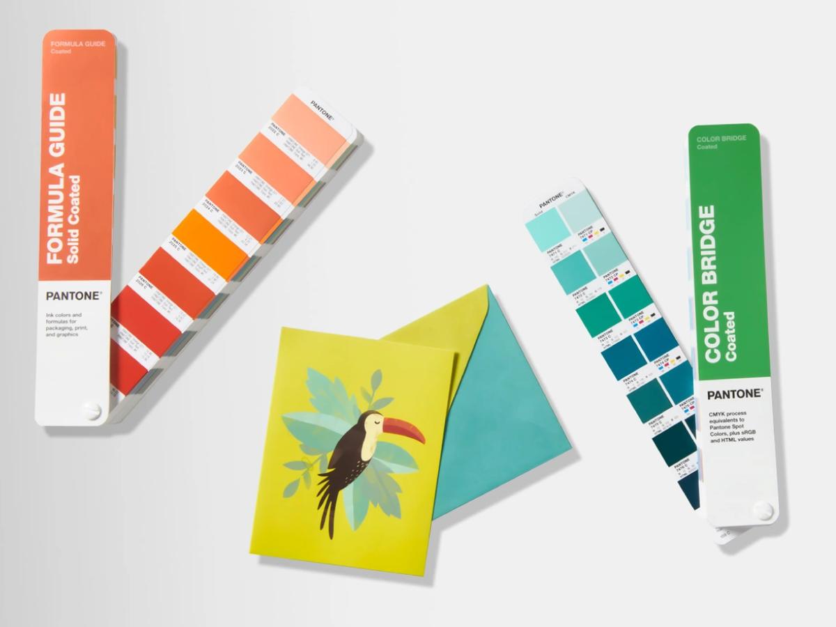 PANTONE COATED COMBO FORMULA GUIDE & COLORBRIDGE GP6205B 2