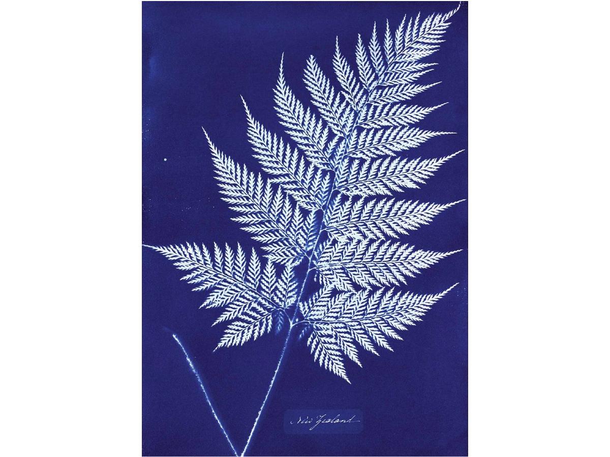 JAQUARD CYANOTYPE 2 KOMPONENTEN SET 3