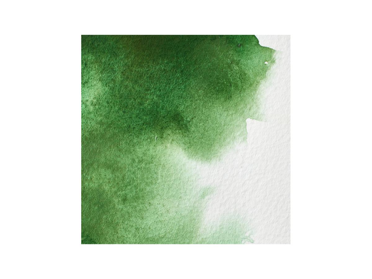 WINSOR & NEWTON AQUARELLFARBE 5ML 311 HOOKERSGRÜN 2