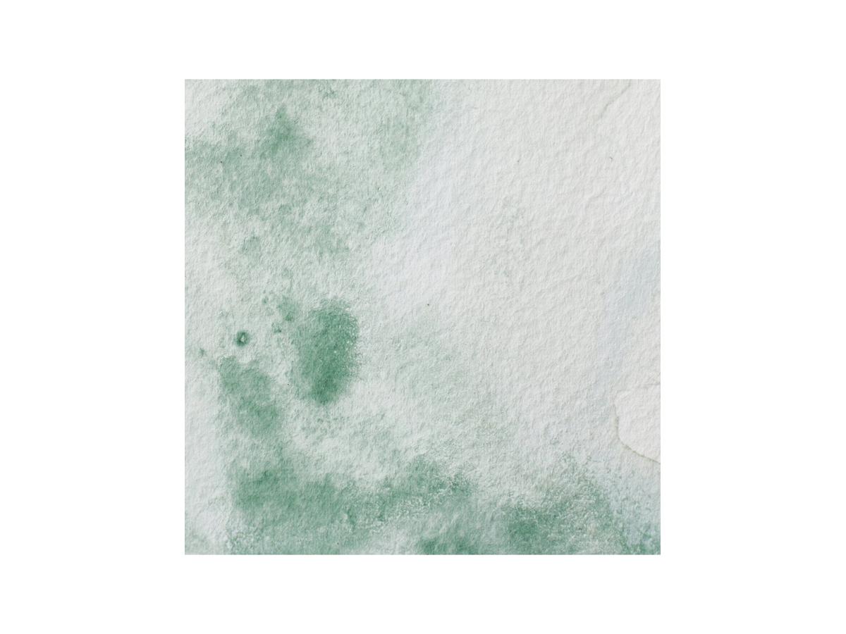 WINSOR & NEWTON AQUARELLFARBE 5ML 637 GRÜNE ERDE 2