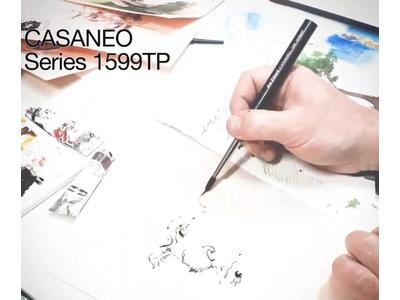 DA VINCI REISPENSEEL SERIE 1599TP NR.8 CASANEO LINER 3