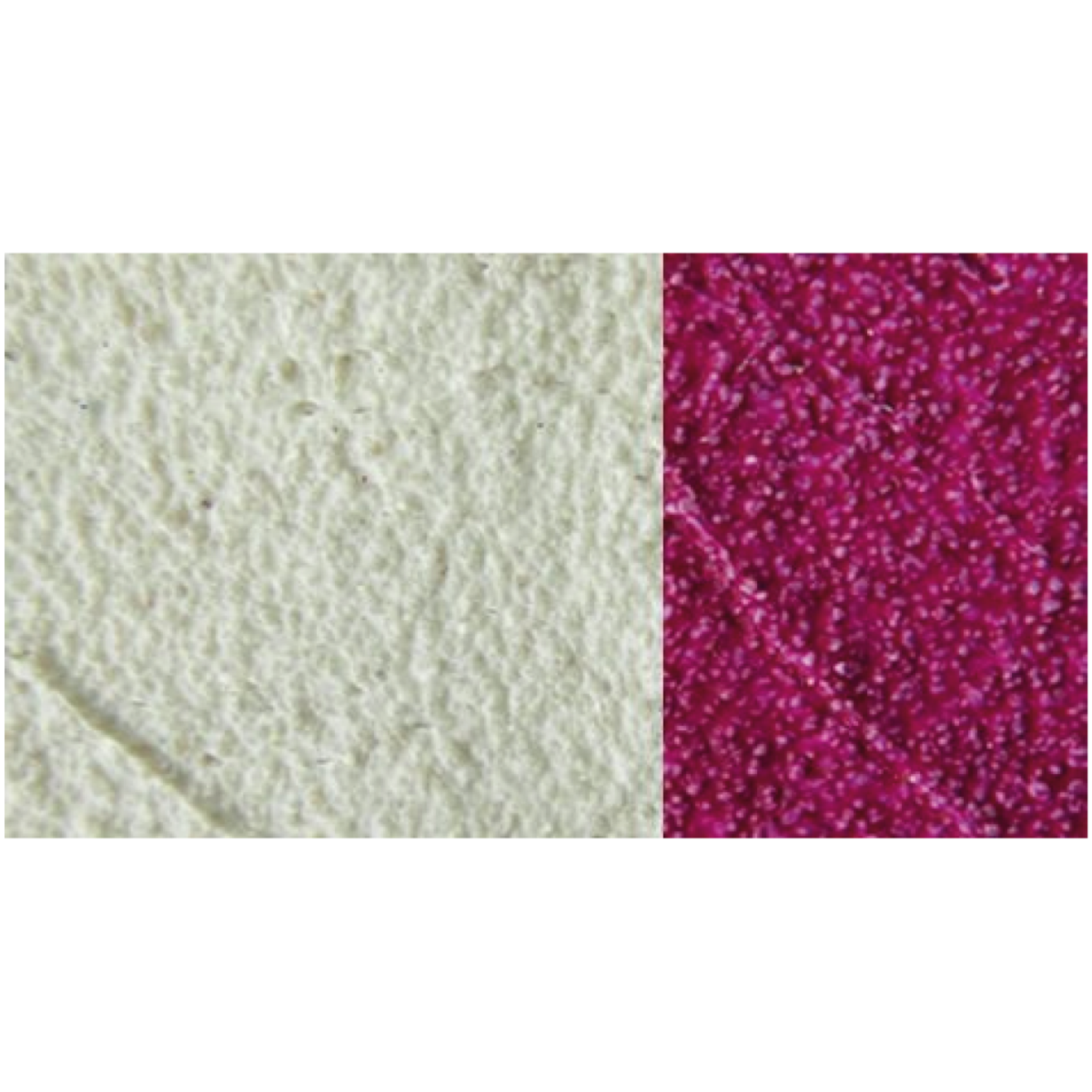 LASCAUX MODELLIERPASTE C NATURAL 2023 1L 3