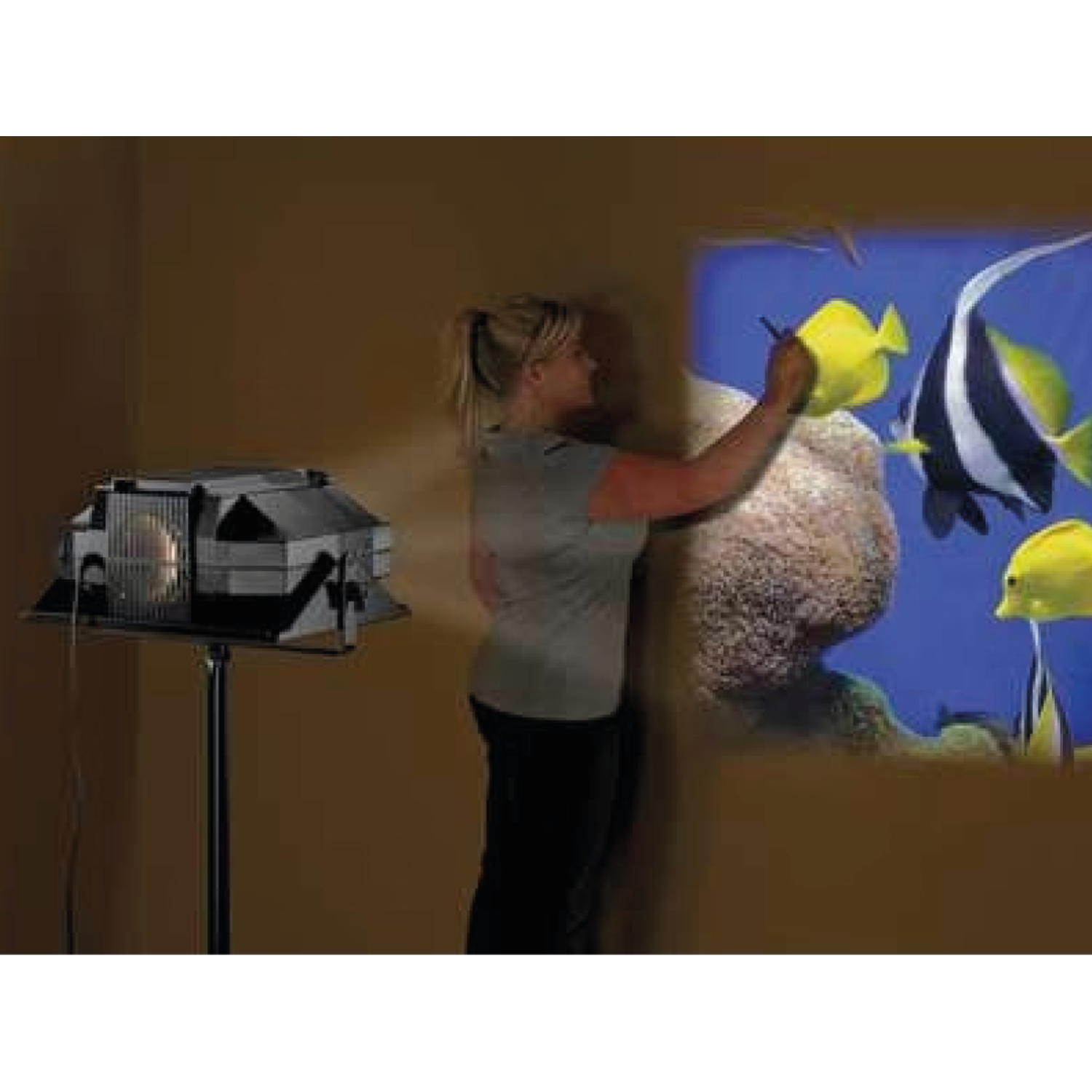 ARTOGRAPH LED PRISM PROJECTOR 6