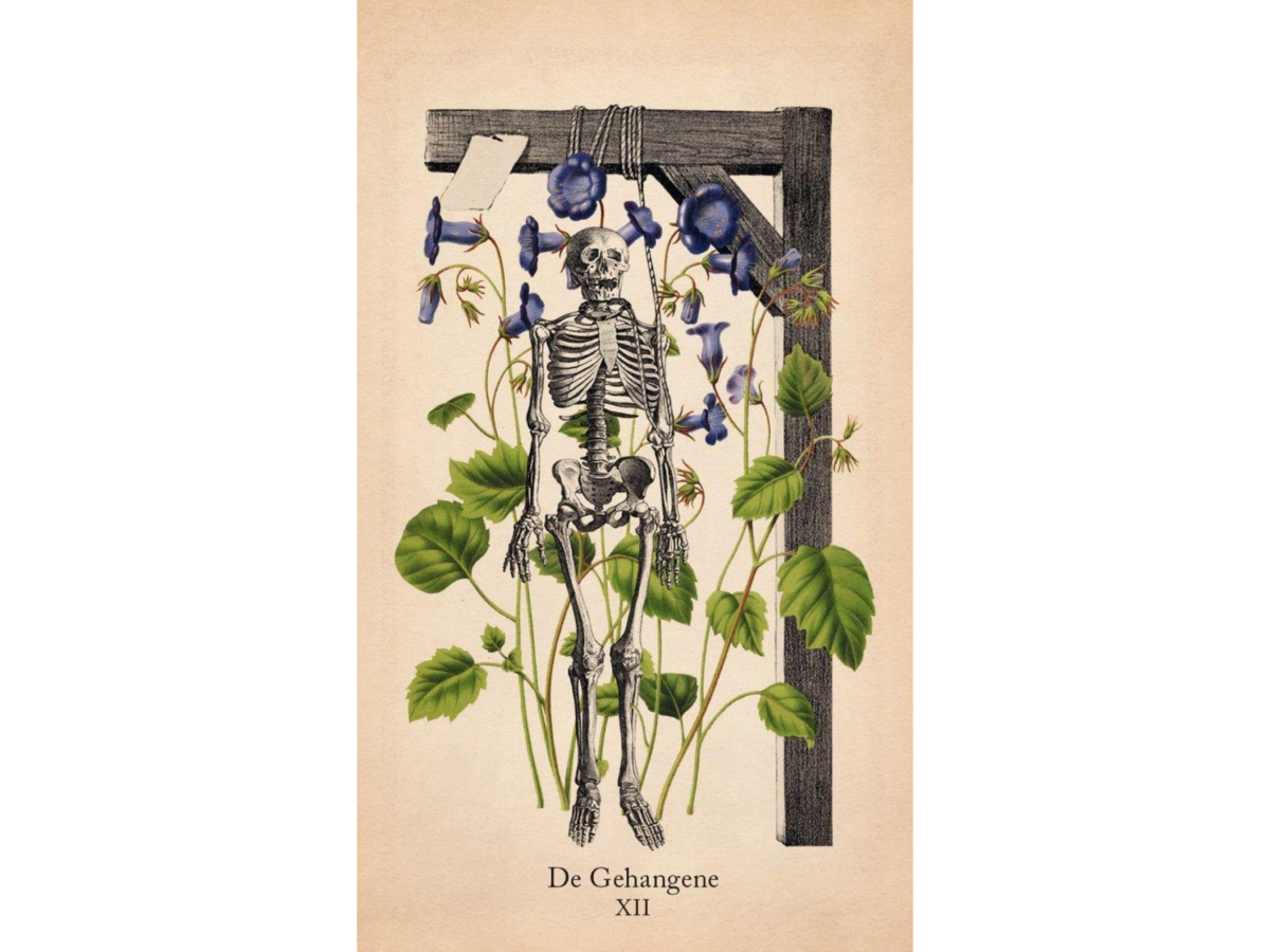 KLASSIEKE ANATOMIE TAROT 2