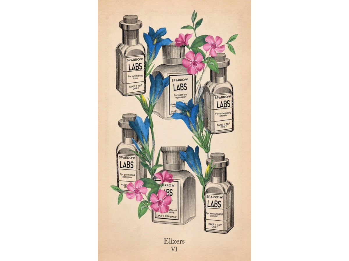 KLASSIEKE ANATOMIE TAROT 3