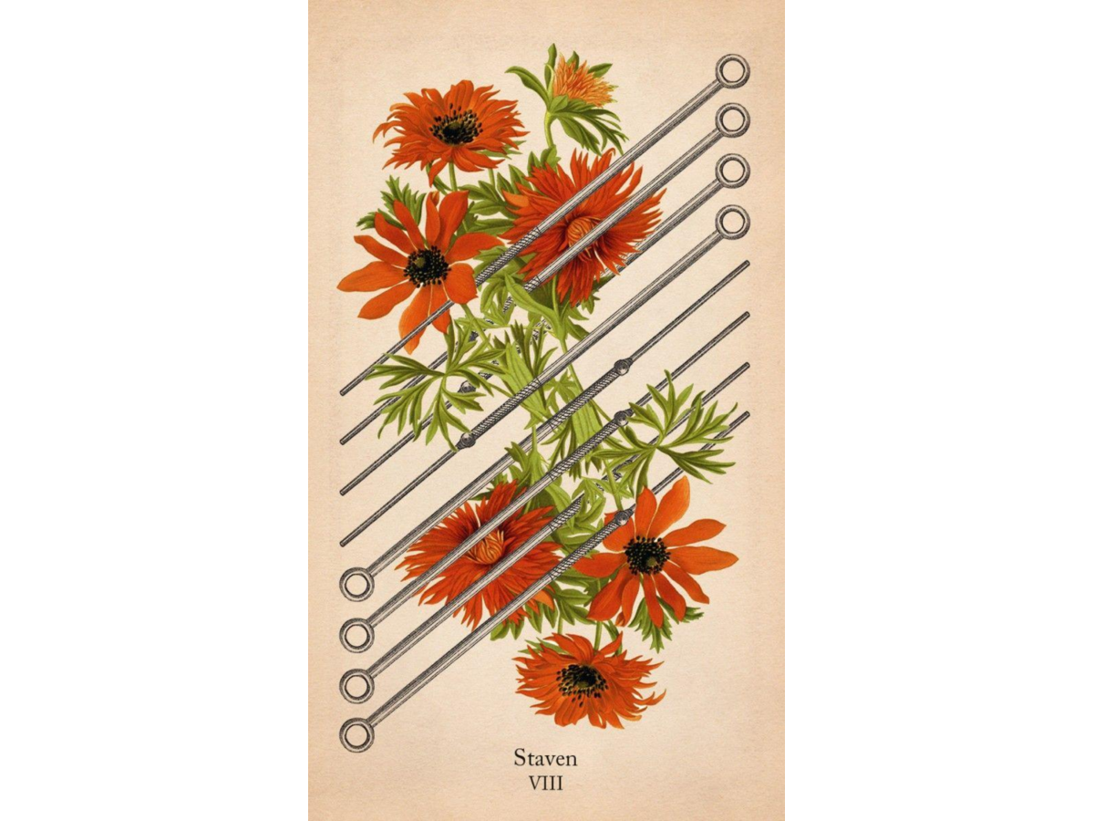 KLASSIEKE ANATOMIE TAROT 4