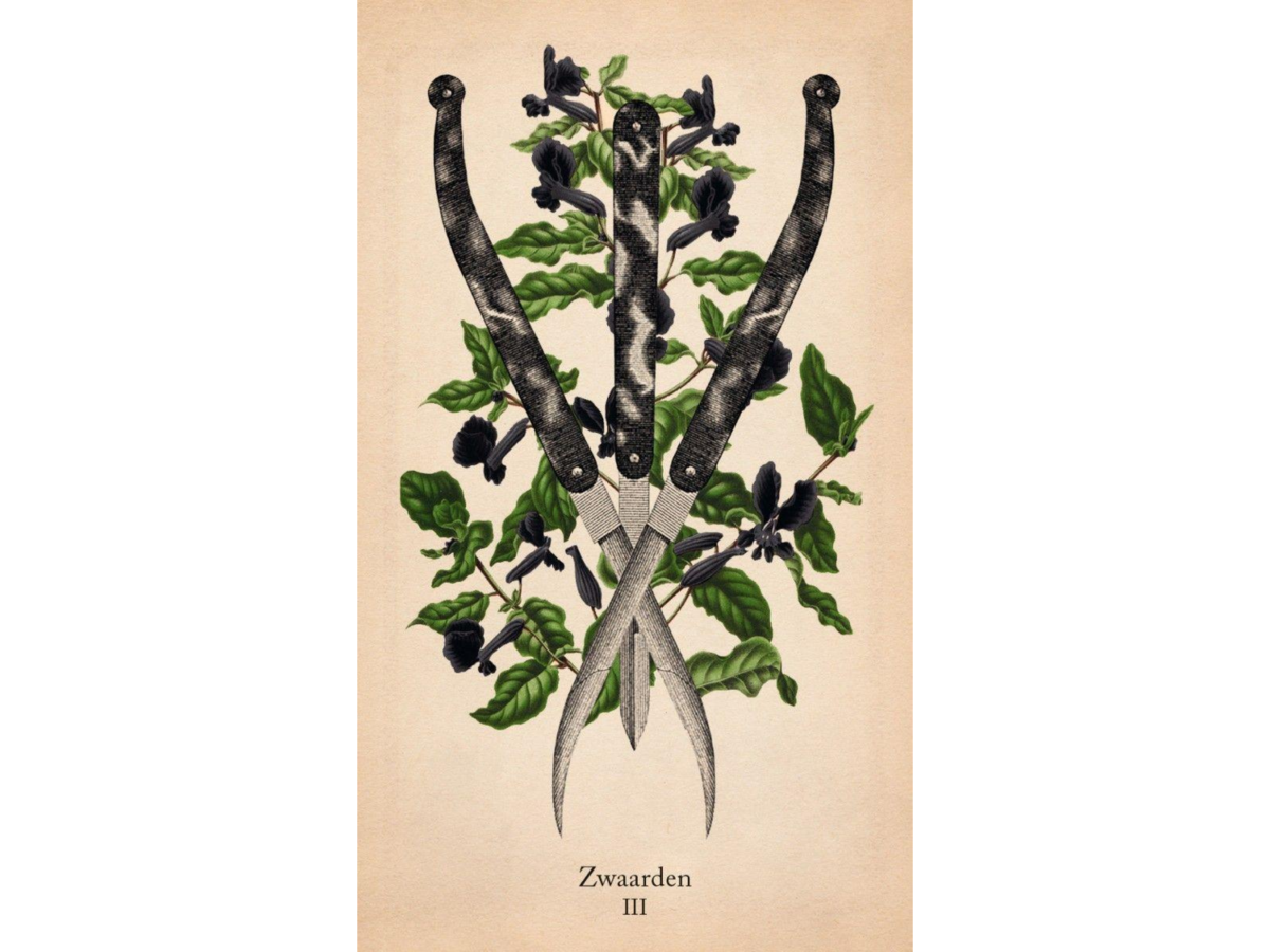 KLASSIEKE ANATOMIE TAROT 5