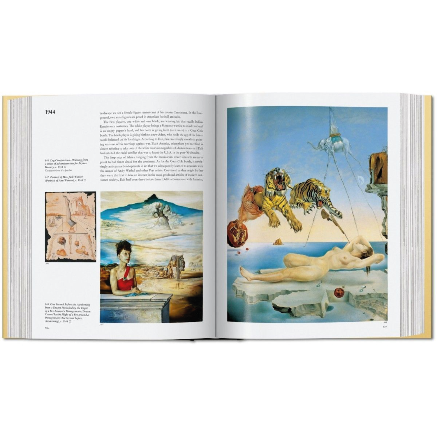 DALI THE PAINTINGS (ENGLISCH) 5